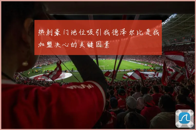 热刺豪门地位吸引我德泽尔比是我加盟决心的关键因素