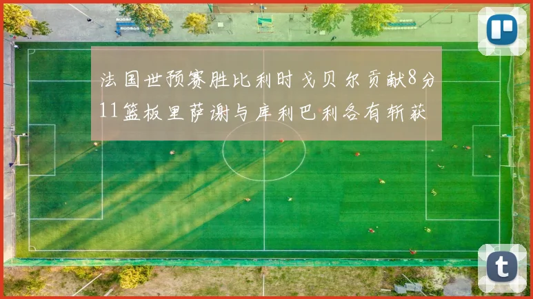 法国世预赛胜比利时戈贝尔贡献8分11篮板里萨谢与库利巴利各有斩获