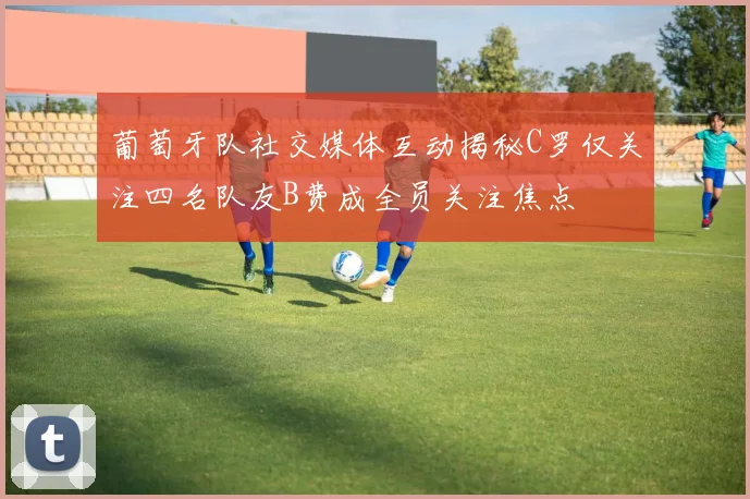 葡萄牙队社交媒体互动揭秘C罗仅关注四名队友B费成全员关注焦点