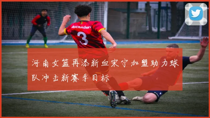 河南女篮再添新血宋宁加盟助力球队冲击新赛季目标